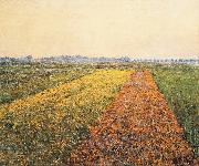 Gustave Caillebotte The Yellow Fields at Gennevilliers oil painting on canvas
